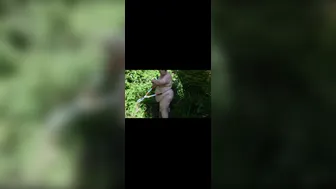 Bbw garden time